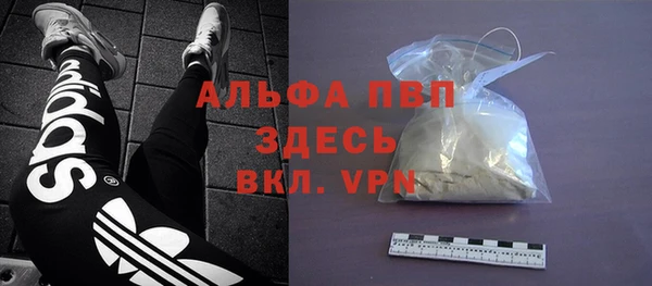 гидра Вяземский