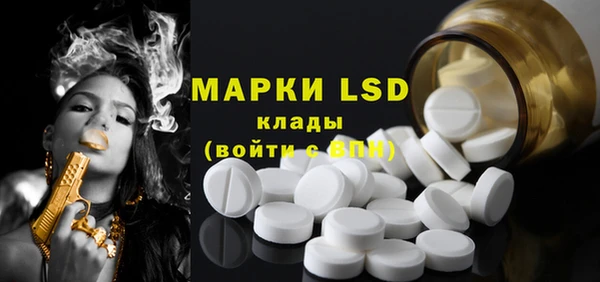 гидра Вяземский