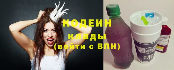 гидра Вяземский