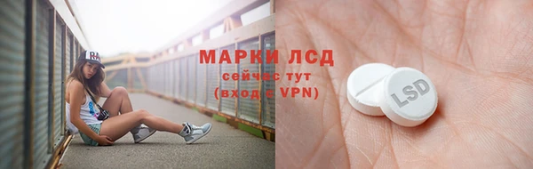 гидра Вяземский