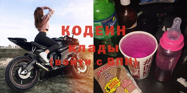 гидра Вяземский