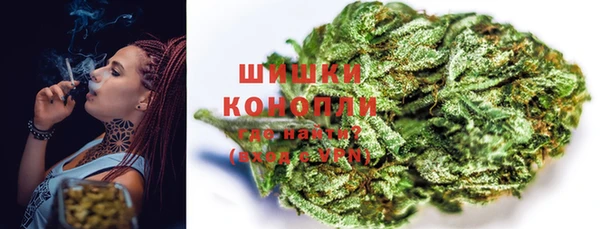 гидра Вяземский