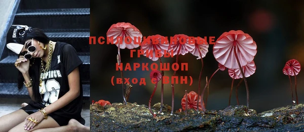 спиды Вязьма