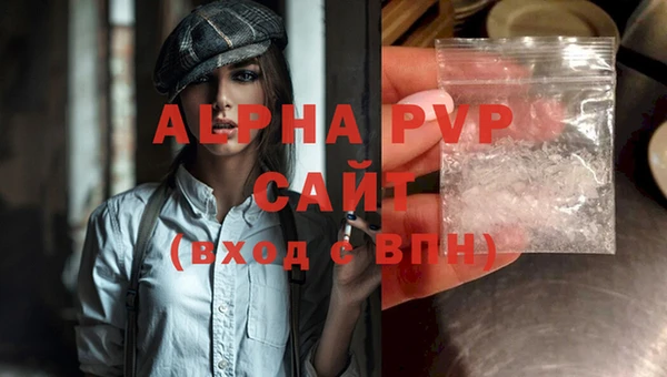 гидра Вяземский