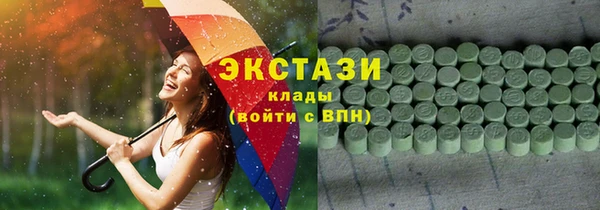 гидра Вяземский