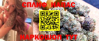 мдпв Жуковский