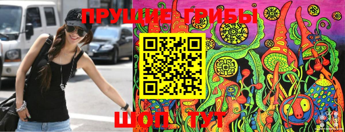 Псилоцибиновые грибы Psilocybe  Вход с VPN  Можайск 