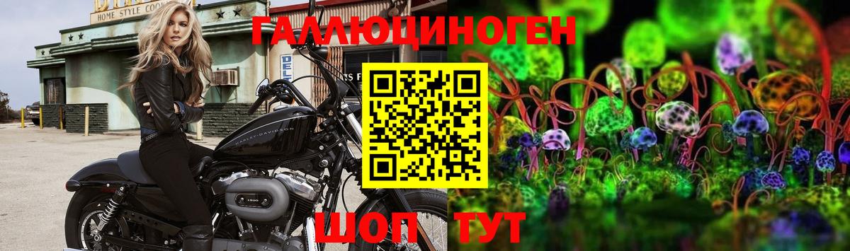 Галлюциногенные грибы Cubensis Можайск