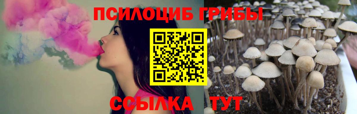 A-PVP Можайск